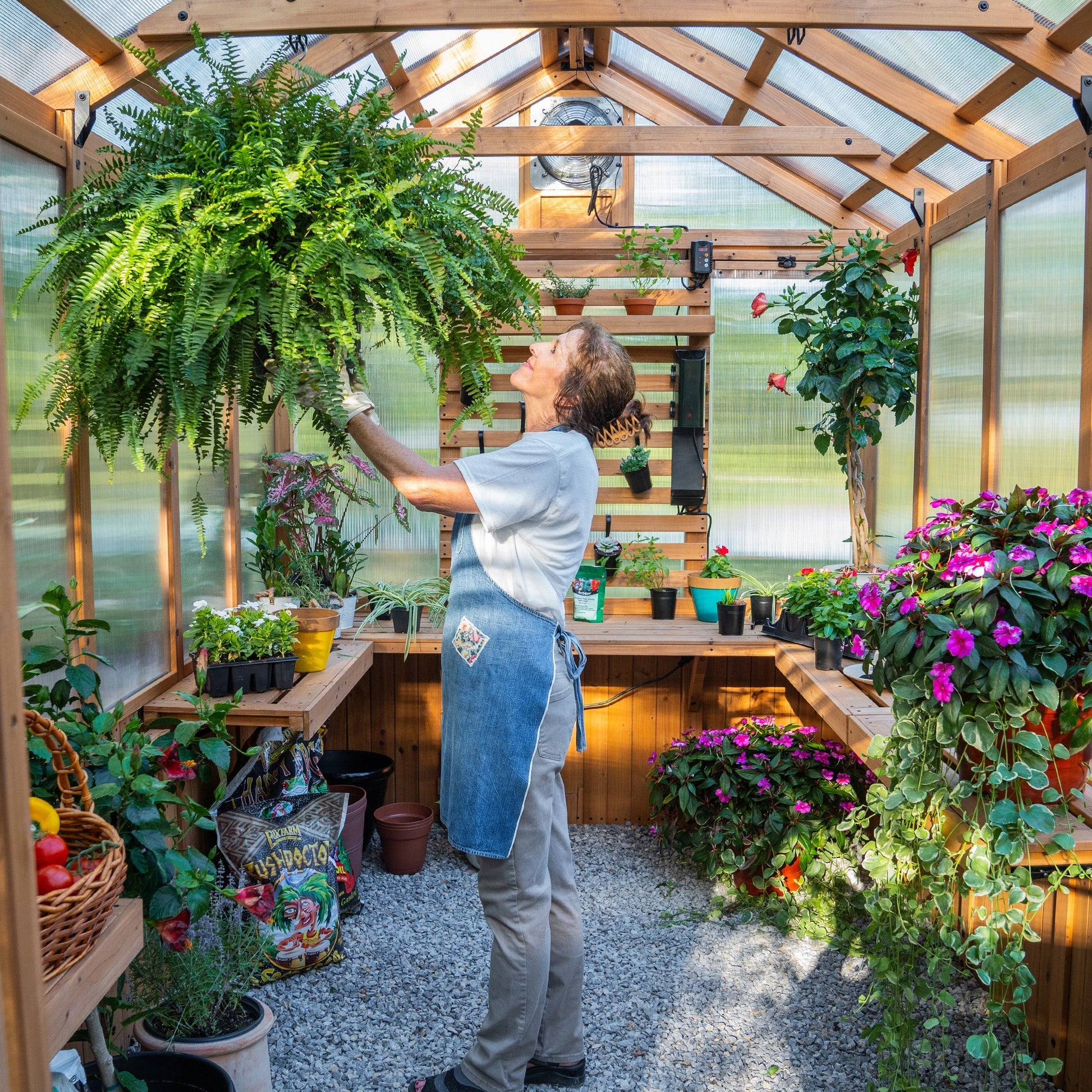 11x7 Bellerose Greenhouse