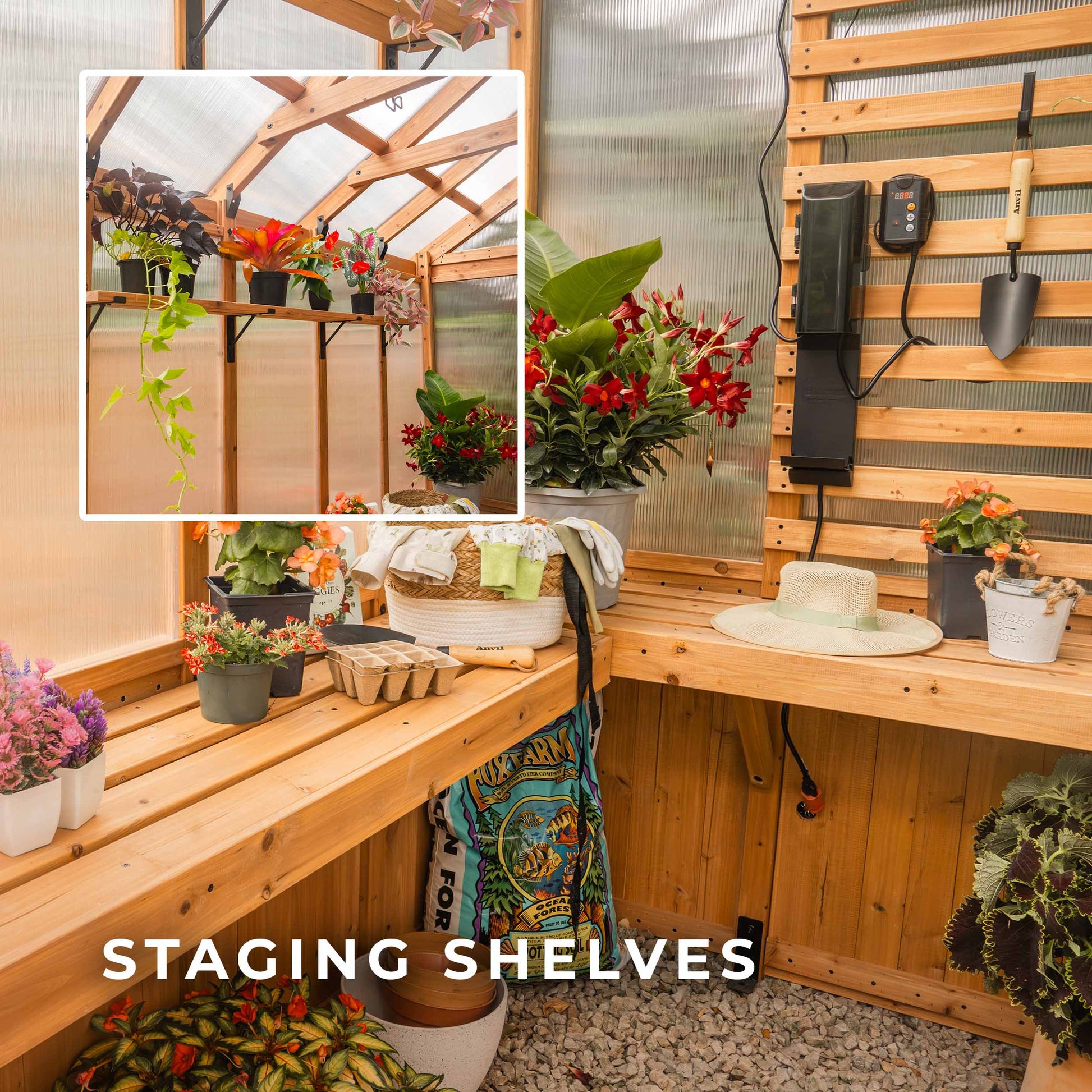 9x6 Bellerose Greenhouse
