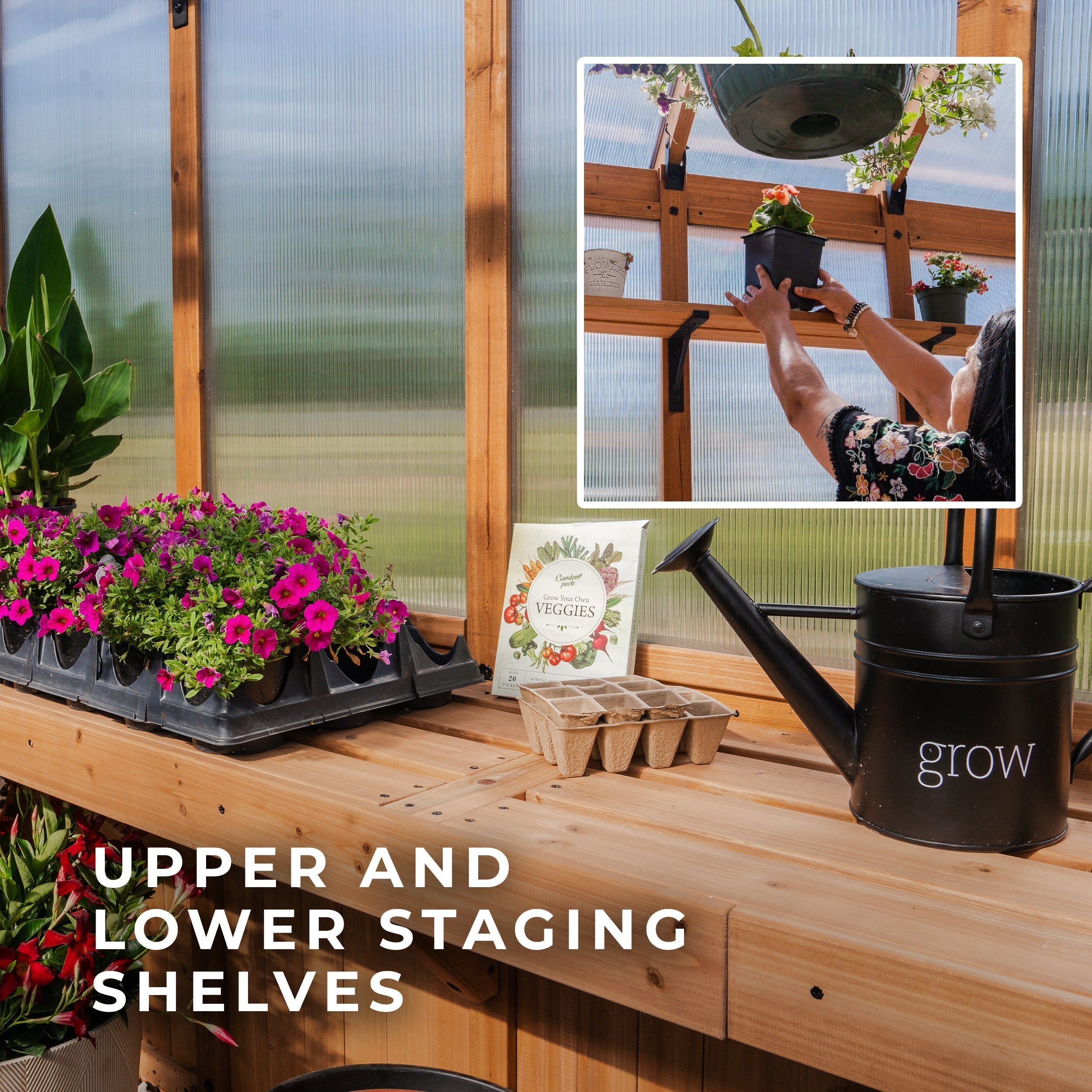 13x11 Bellerose XL Greenhouse