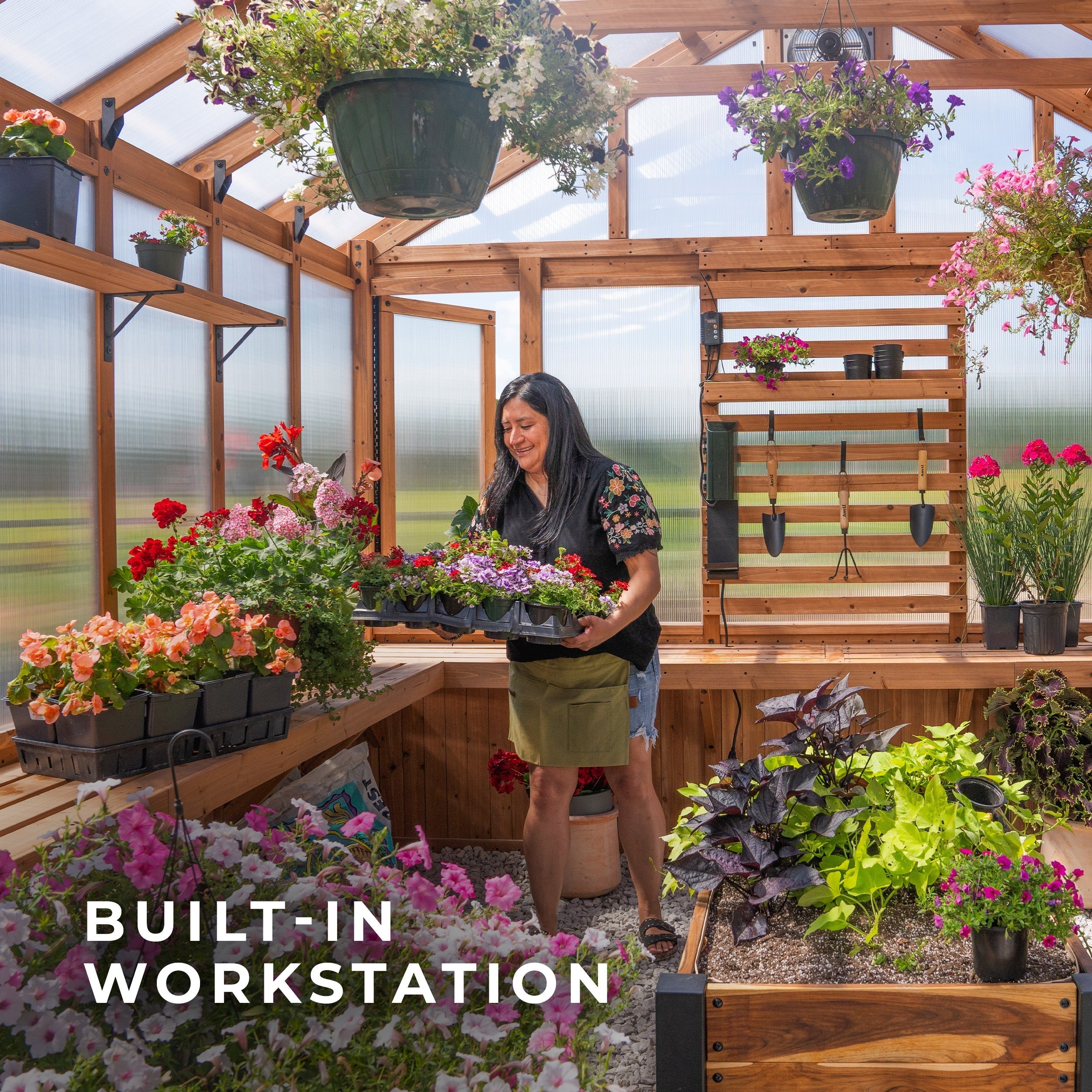 13x11 Bellerose XL Greenhouse