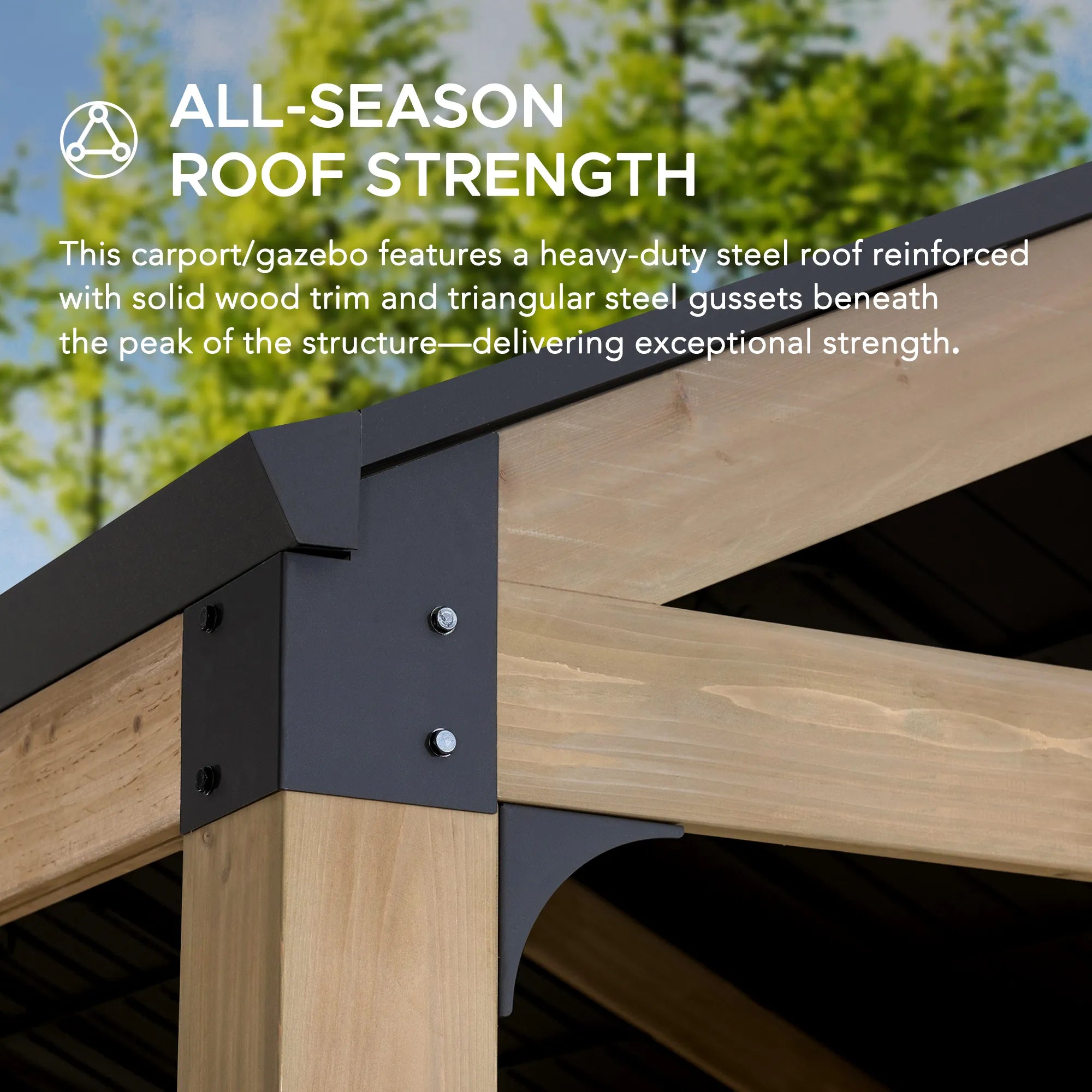 MazonvintageNewville 10x20 Wood Carport with Privacy Wall and Rain Gutter